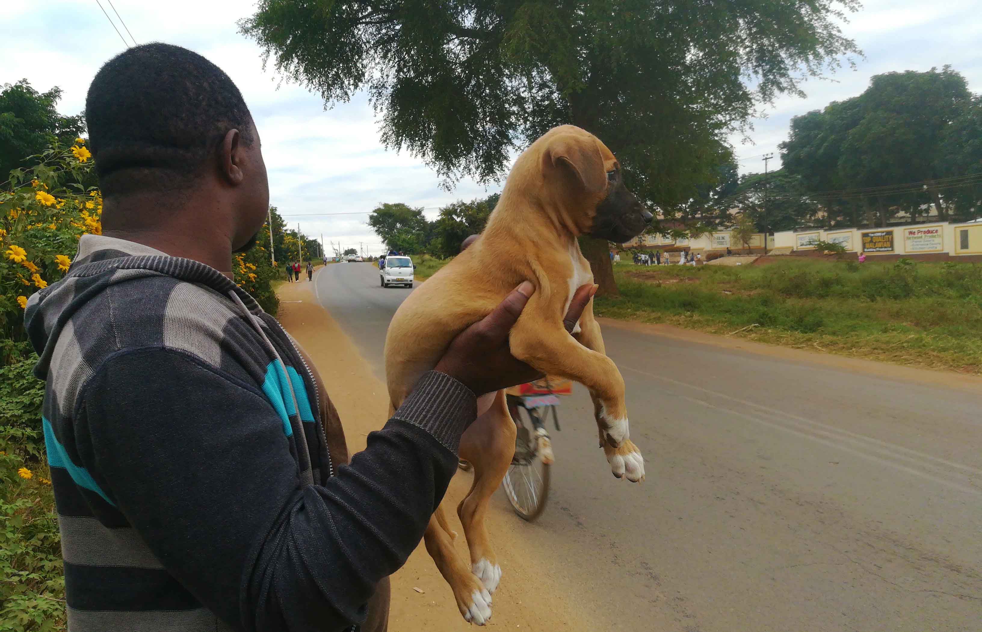 Vendor selling a puppy Pem