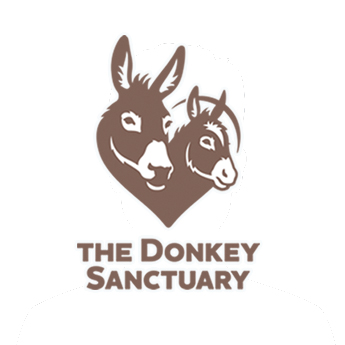 The Donkey Sanctuary  