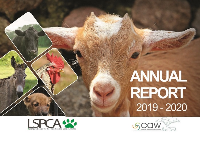 LSPCA's 2020 Annual report