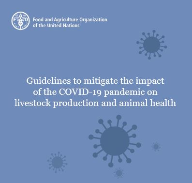 Guidelines to mitigate the impact of the COVID-19 pandemic on livestock production and animal health